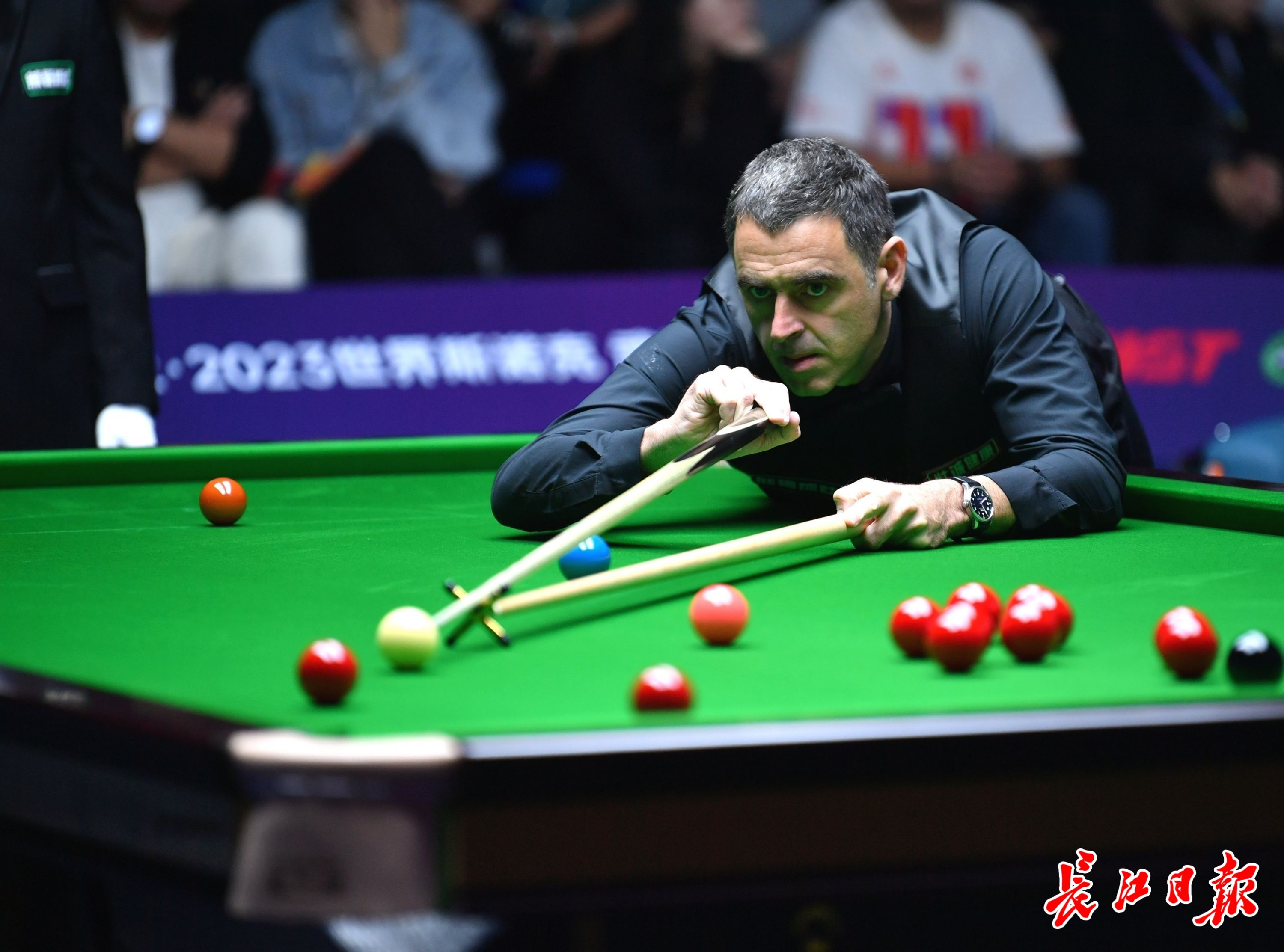 这样的安排 这样的安排