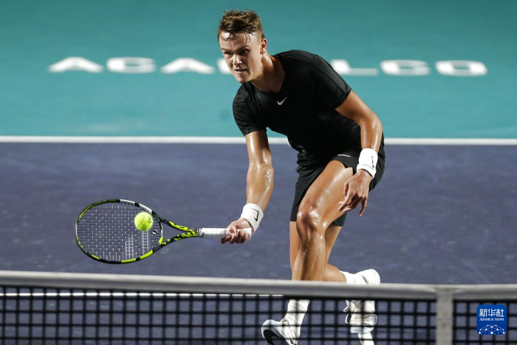 理方面的能 理方面的能